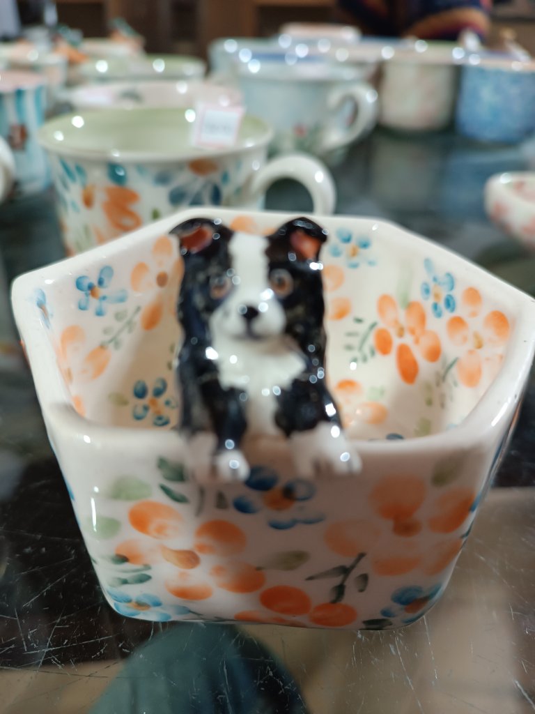 joyero 30 · perro